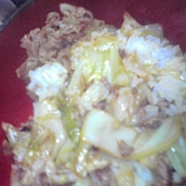 ヘルシーキャベツと牛肉の合わせ丼 簡単